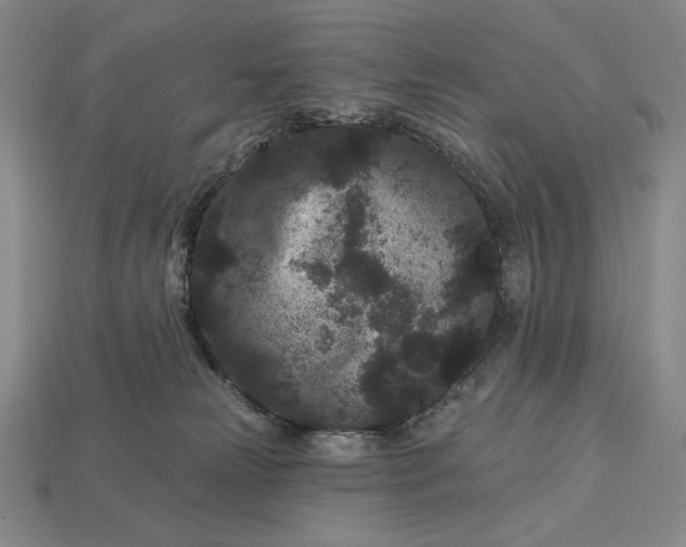 X0000113160181200909181818