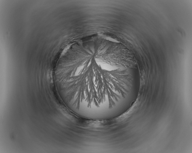 X0000113160182200909181818