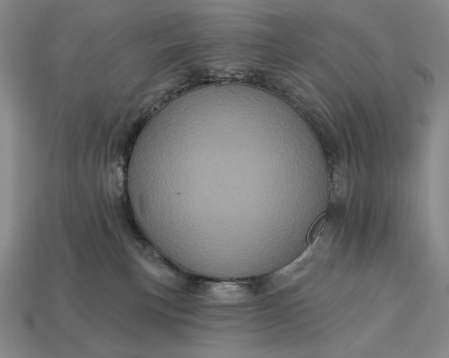 X0000113160183200909181819