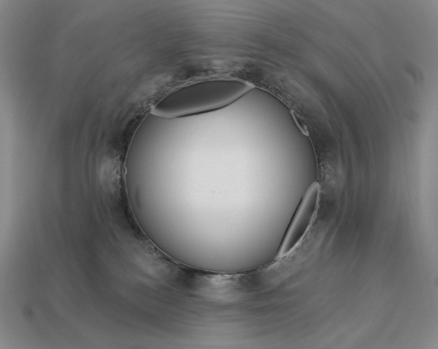 X0000113160184200909181819