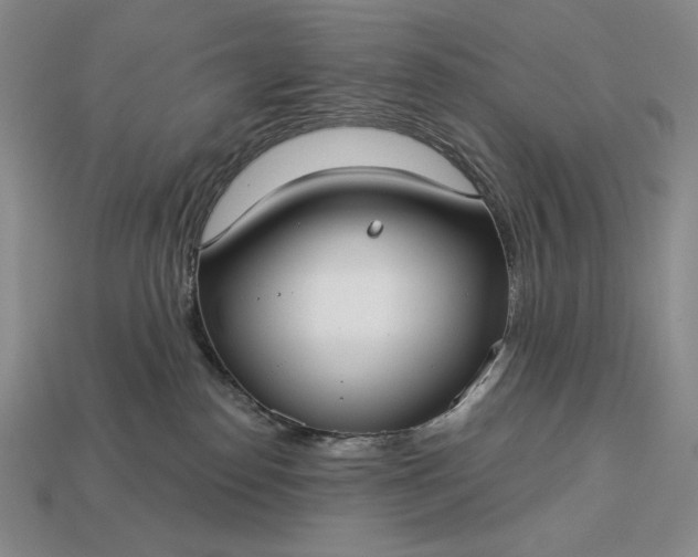 X0000113160186200909181819