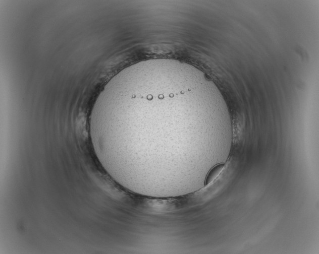 X0000113160187200909181819