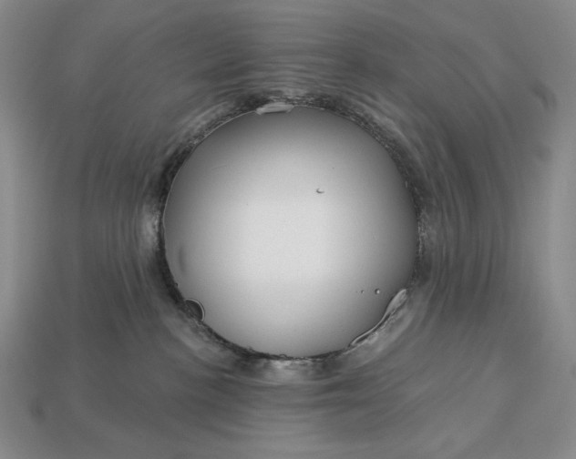 X0000113160188200909181819