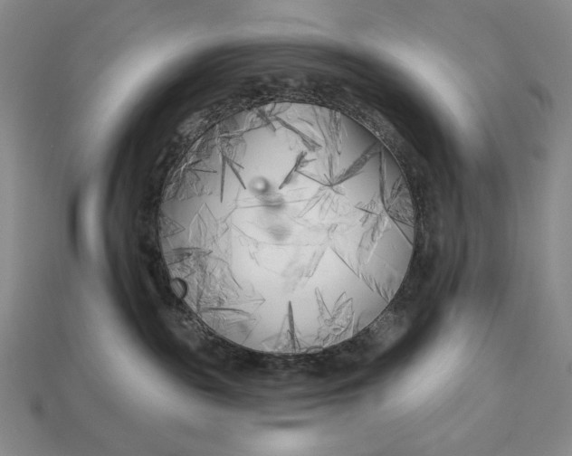 X0000113160189200909181819