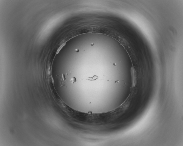 X0000113160190200909181819