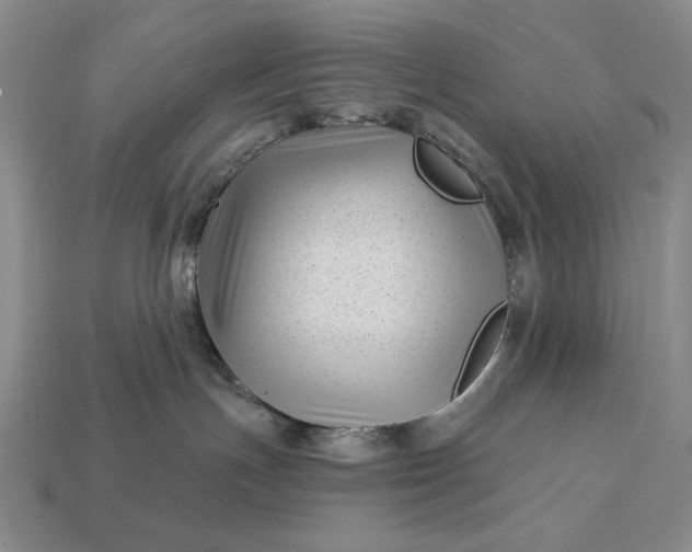 X0000113160191200909181819