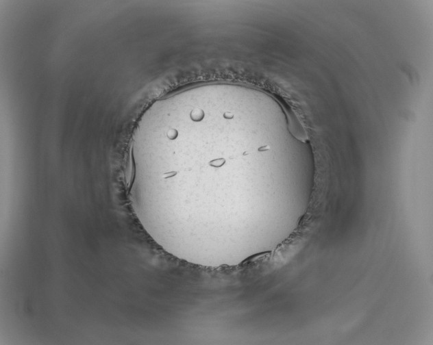 X0000113160192200909181819