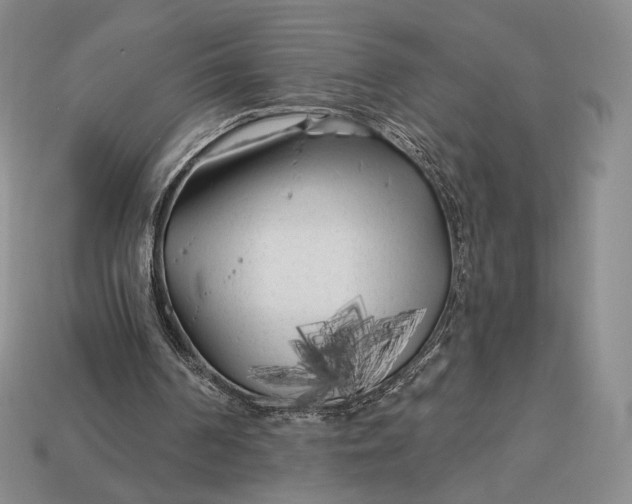 X0000113160194200909181818