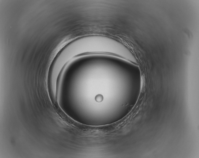 X0000113160195200909181818