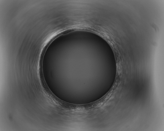 X0000113160196200909181818