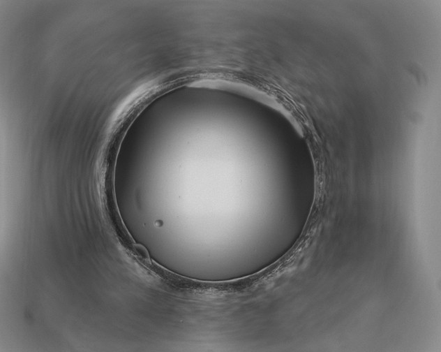 X0000113160197200909181818