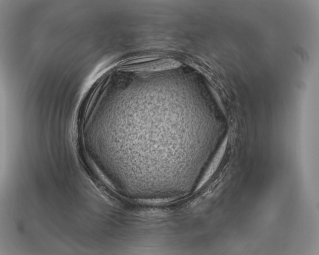 X0000113160198200909181818