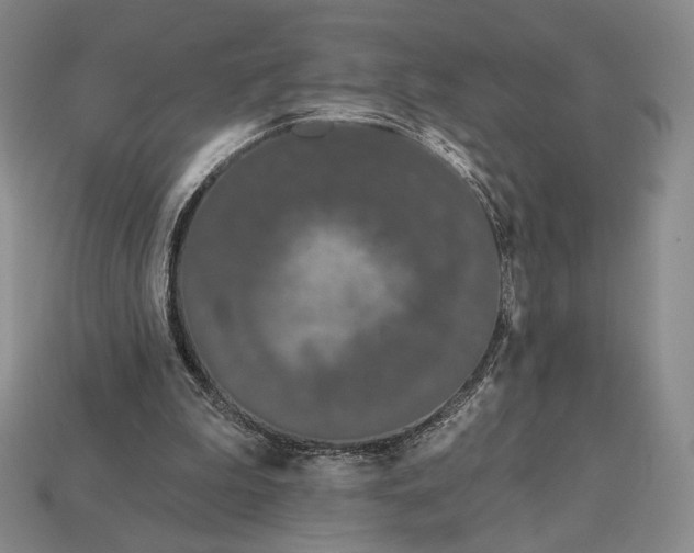 X0000113160199200909181818