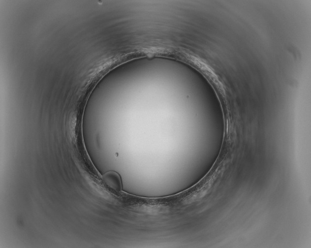 X0000113160201200909181818