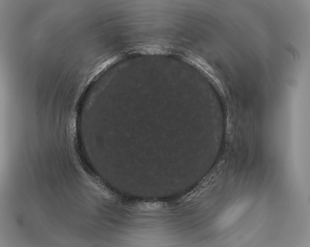 X0000113160202200909181818