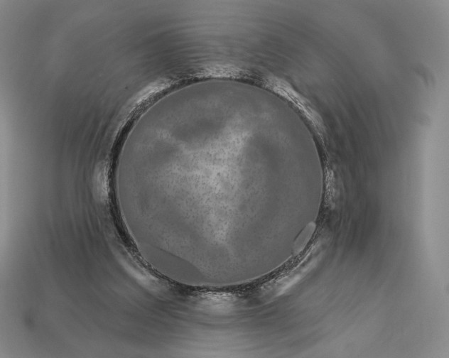 X0000113160203200909181818