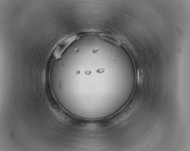 X0000113160204200909181818