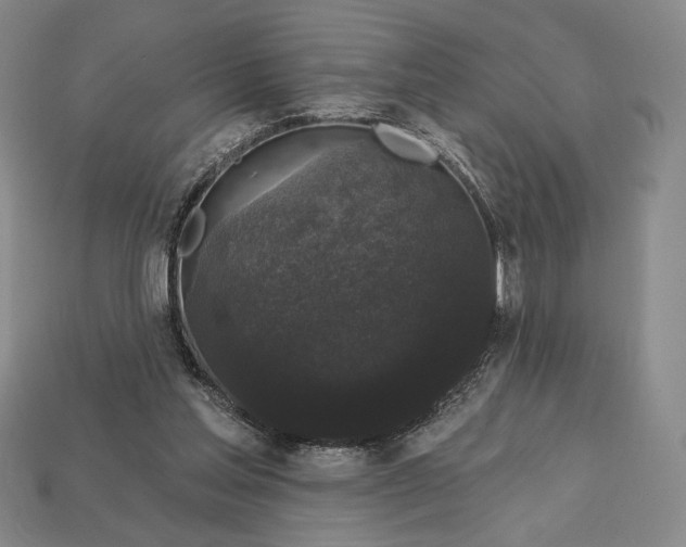 X0000113160205200909181818