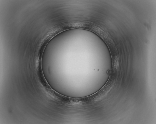 X0000113160206200909181818