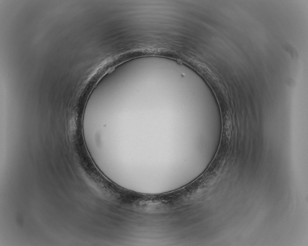 X0000113160208200909181818