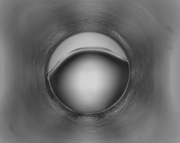 X0000113160209200909181818