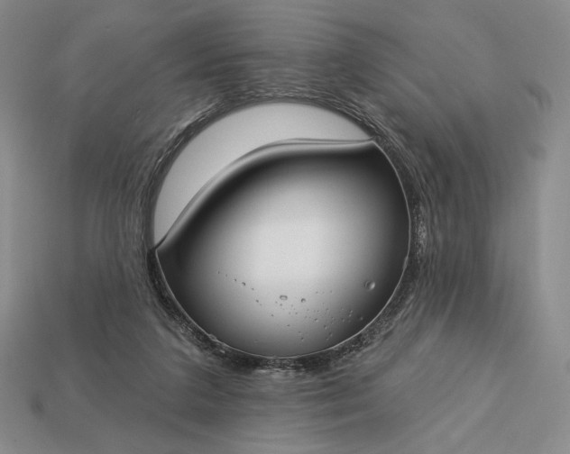 X0000113160211200909181818