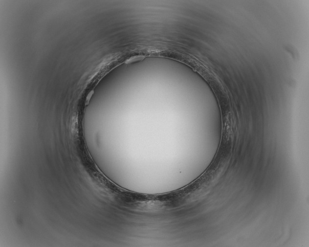 X0000113160212200909181818