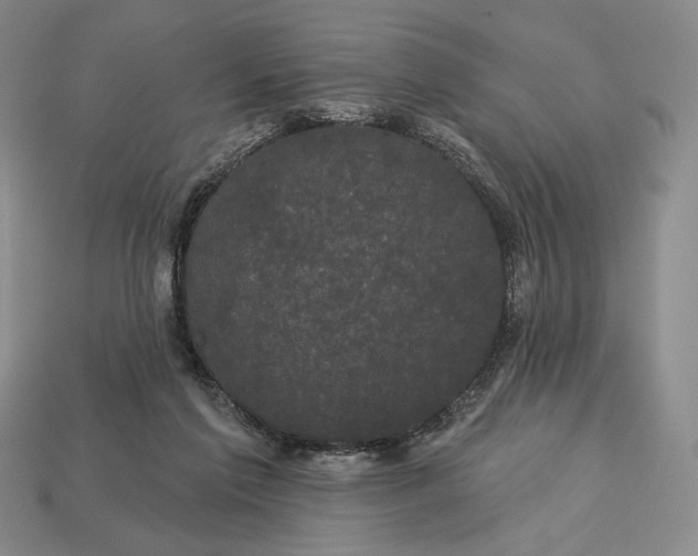 X0000113160213200909181818