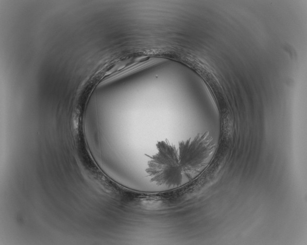 X0000113160214200909181818