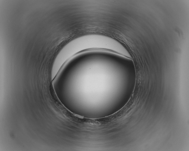 X0000113160215200909181818