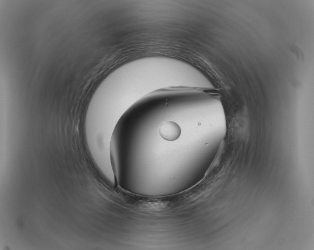 X0000113160217200909181818