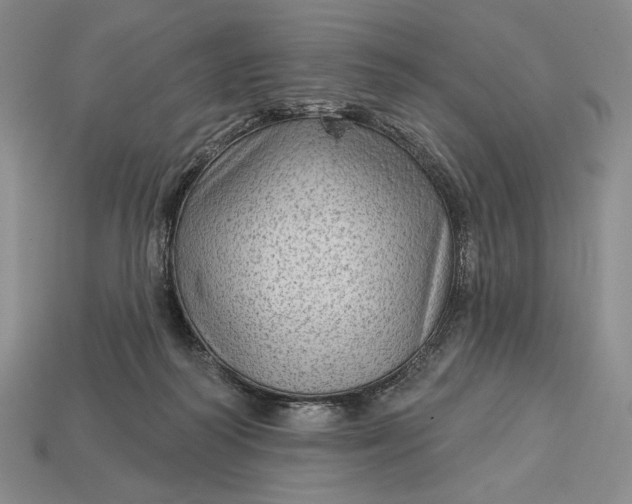 X0000113160218200909181818