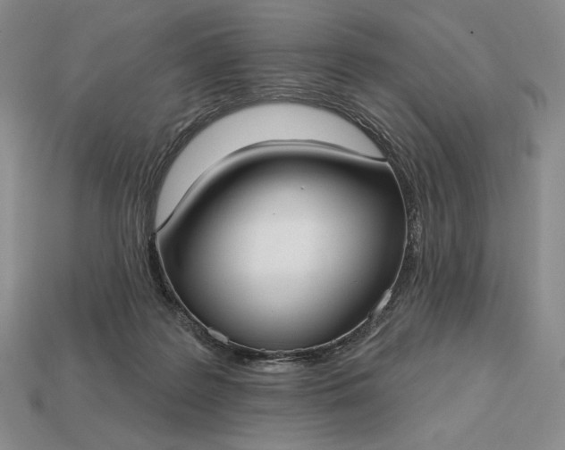 X0000113160219200909181818