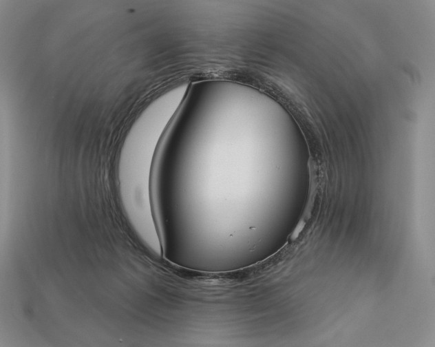 X0000113160221200909181818