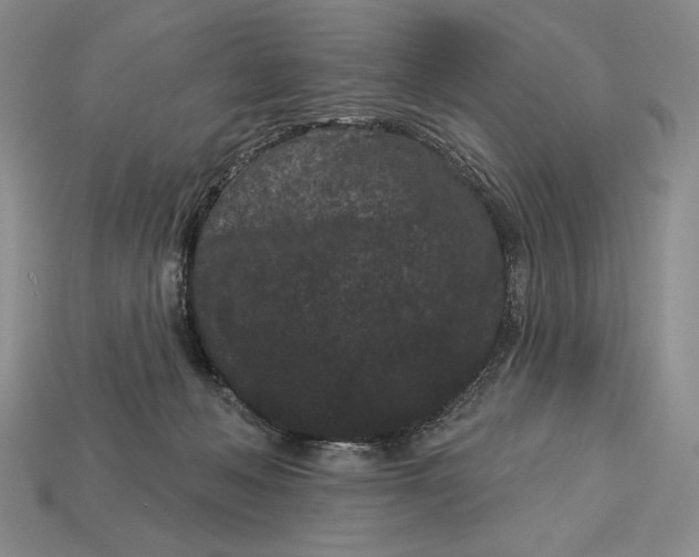 X0000113160222200909181818