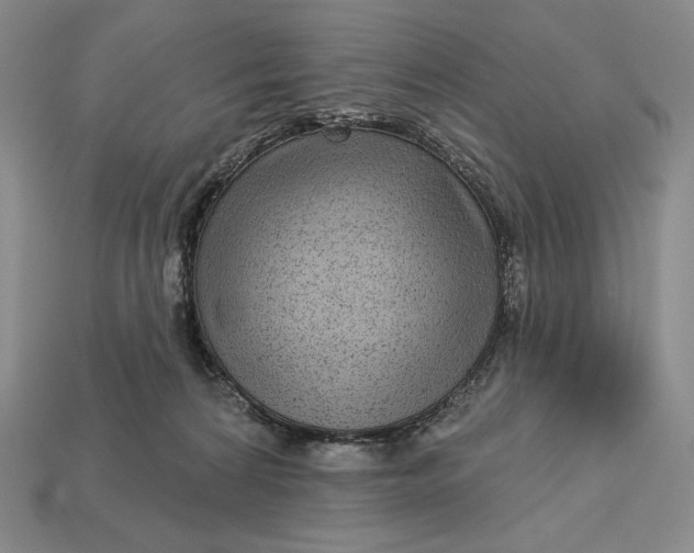 X0000113160224200909181818