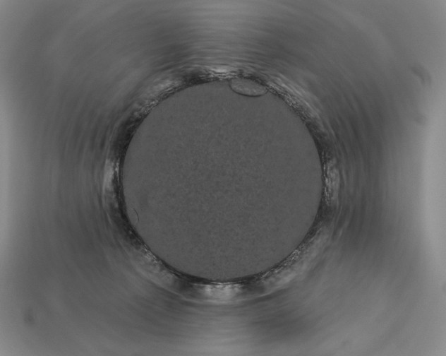 X0000113160225200909181818