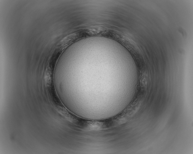 X0000113160226200909181818