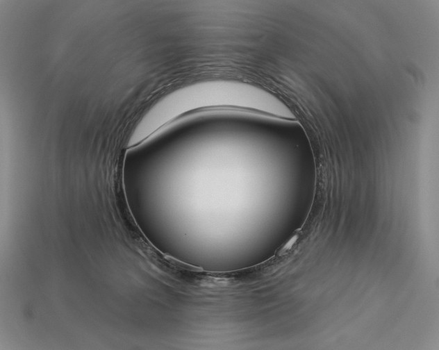 X0000113160227200909181818