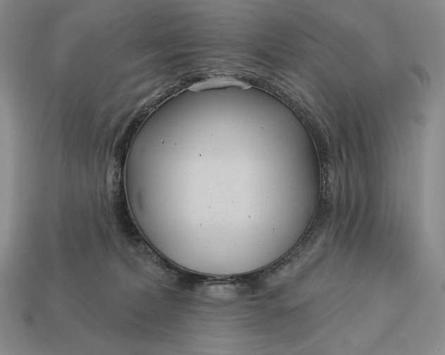 X0000113160228200909181818