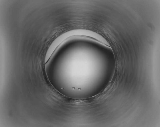 X0000113160229200909181818