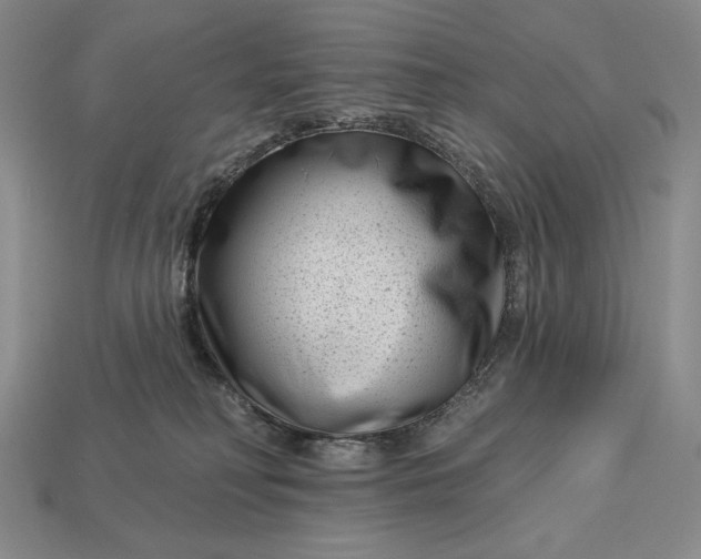 X0000113160230200909181818