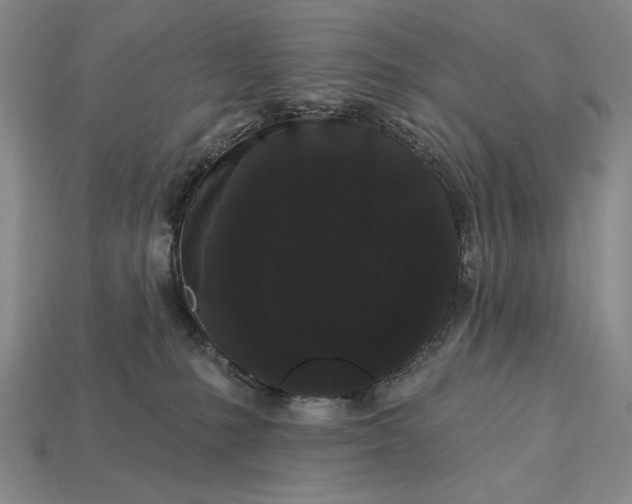 X0000113160231200909181818