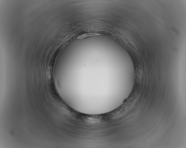 X0000113160232200909181818