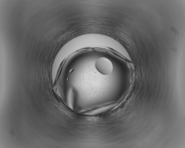 X0000113160233200909181817