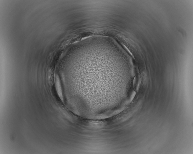 X0000113160234200909181817