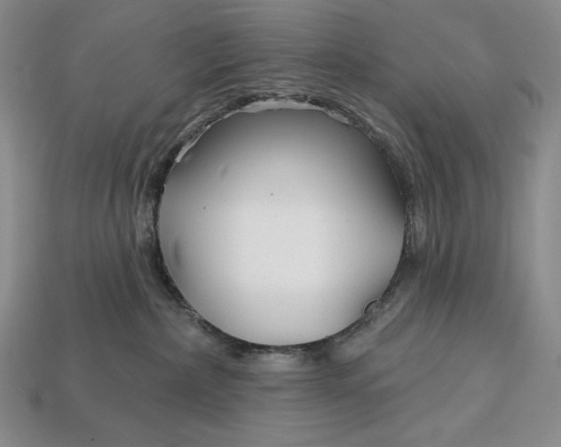 X0000113160236200909181817