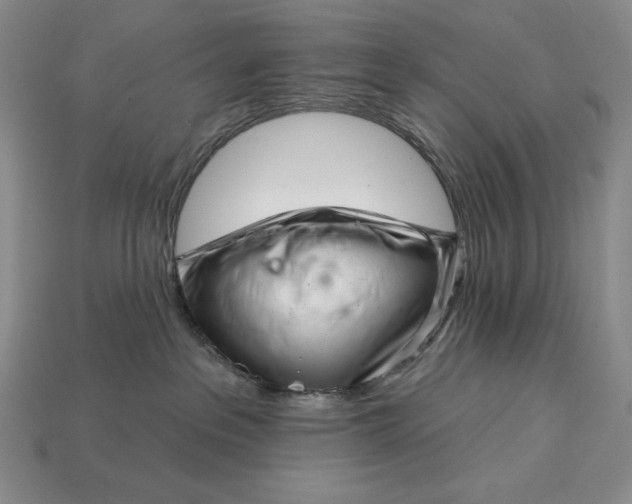 X0000113160237200909181817