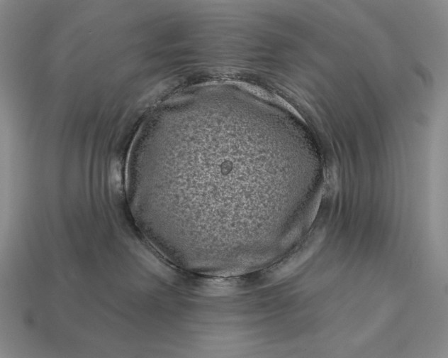 X0000113160238200909181817