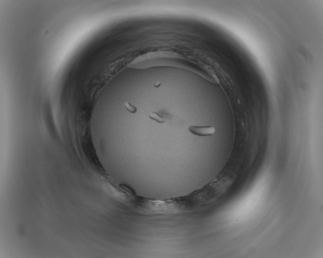 X0000113160239200909181817